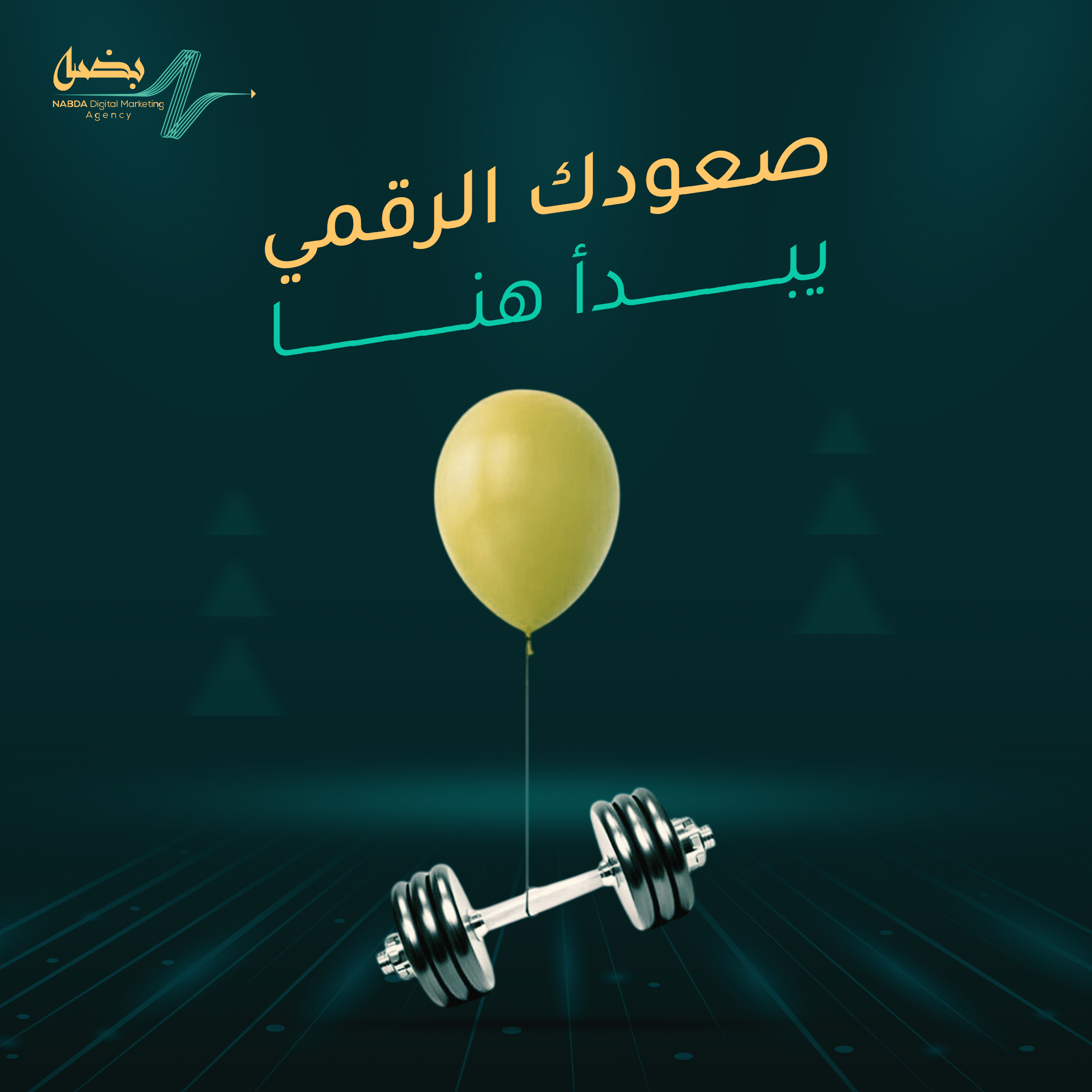 صورة 3